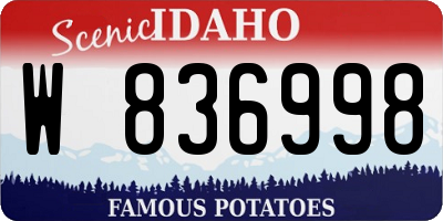 ID license plate W836998
