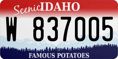 ID license plate W837005