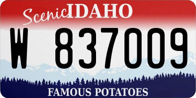 ID license plate W837009