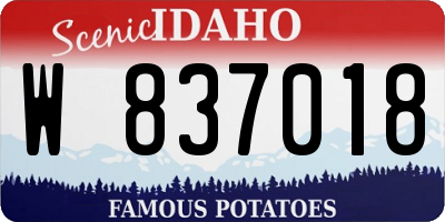 ID license plate W837018