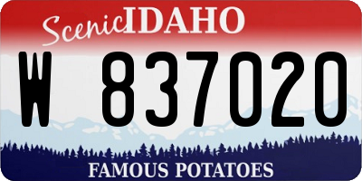 ID license plate W837020