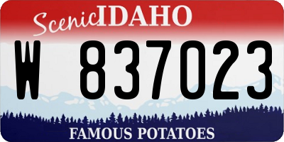 ID license plate W837023