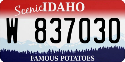 ID license plate W837030