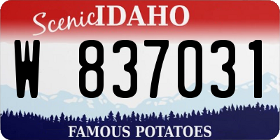 ID license plate W837031