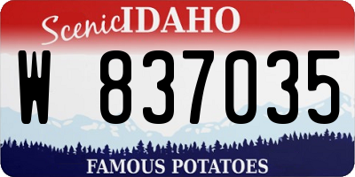 ID license plate W837035