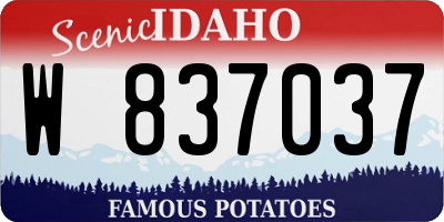 ID license plate W837037