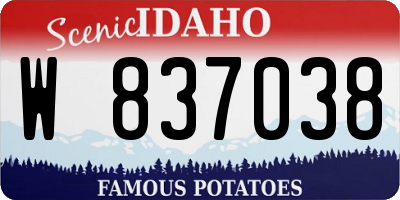 ID license plate W837038