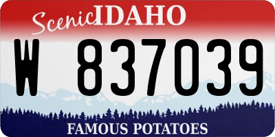 ID license plate W837039