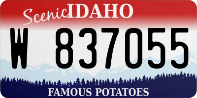 ID license plate W837055