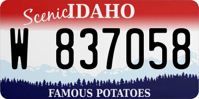 ID license plate W837058