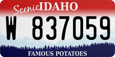 ID license plate W837059