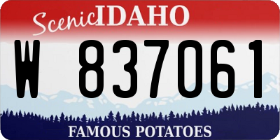 ID license plate W837061