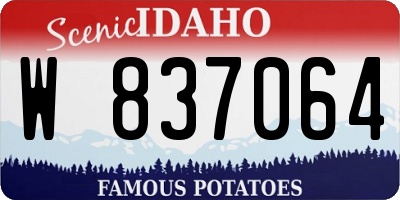 ID license plate W837064
