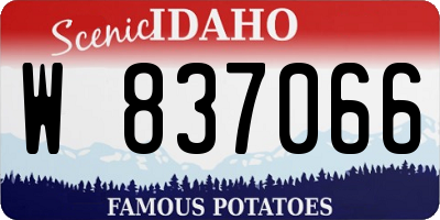 ID license plate W837066