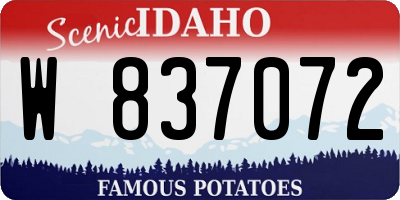ID license plate W837072