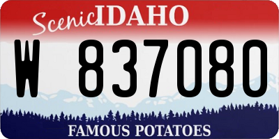 ID license plate W837080