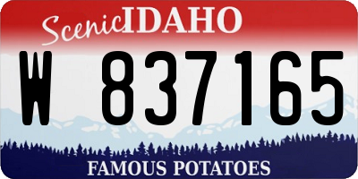 ID license plate W837165