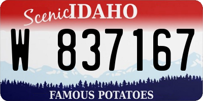 ID license plate W837167