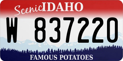 ID license plate W837220