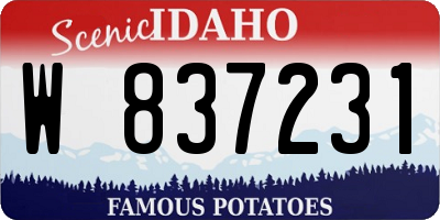 ID license plate W837231