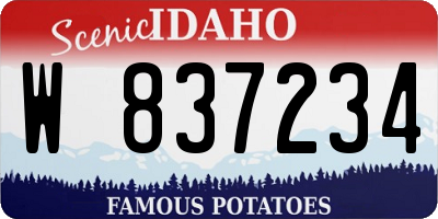 ID license plate W837234