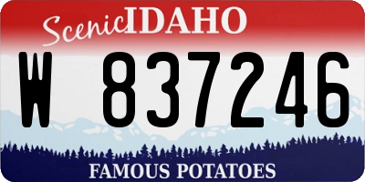 ID license plate W837246