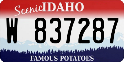 ID license plate W837287