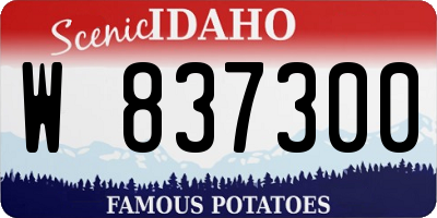 ID license plate W837300