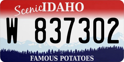ID license plate W837302