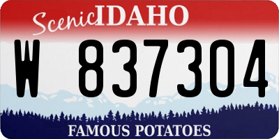 ID license plate W837304