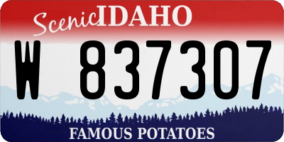 ID license plate W837307