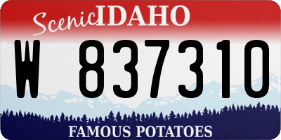 ID license plate W837310