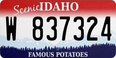 ID license plate W837324