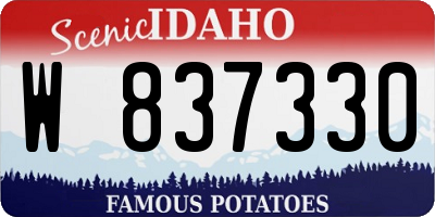 ID license plate W837330