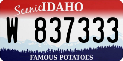 ID license plate W837333