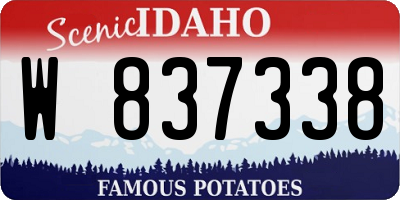 ID license plate W837338