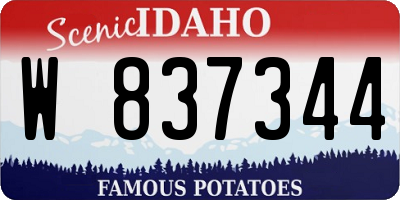 ID license plate W837344