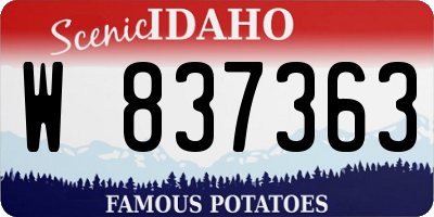 ID license plate W837363