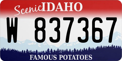 ID license plate W837367