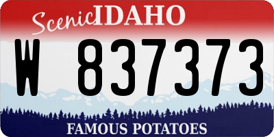 ID license plate W837373
