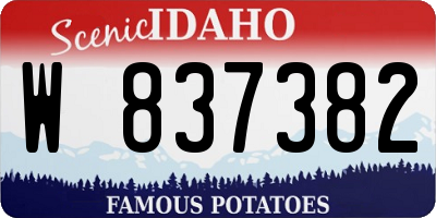 ID license plate W837382