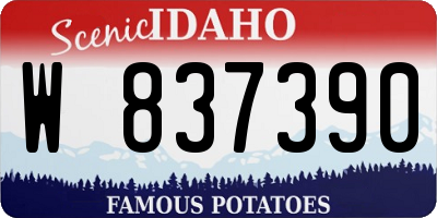 ID license plate W837390