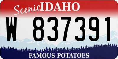 ID license plate W837391