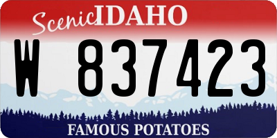ID license plate W837423