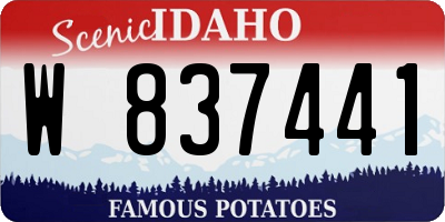 ID license plate W837441