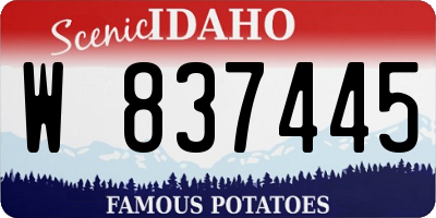 ID license plate W837445