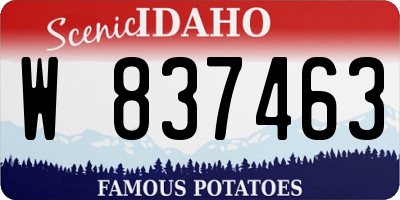 ID license plate W837463