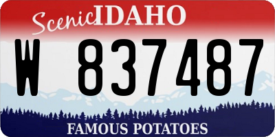 ID license plate W837487