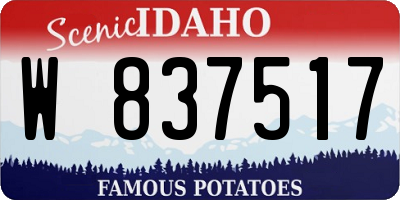 ID license plate W837517