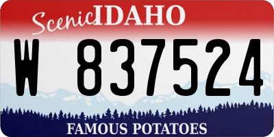 ID license plate W837524